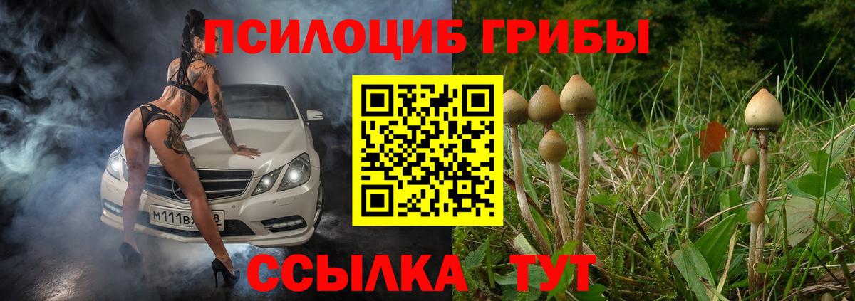 Галлюциногенные грибы Magic Shrooms  Вход с VPN  Дзержинск  купить  цена  Галлюциногенные грибы Psilocybe 